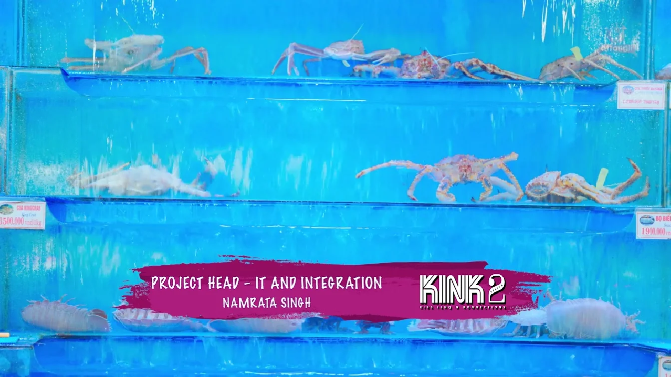 KINK S02 E21-25 Atrangii